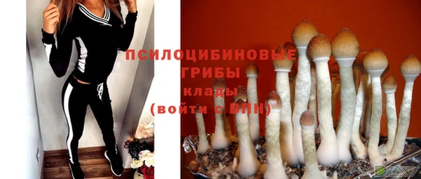 марки nbome Лабытнанги