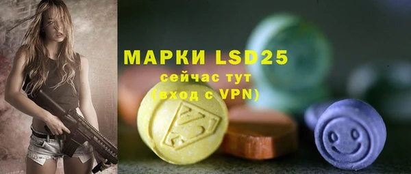 мдпв Лагань