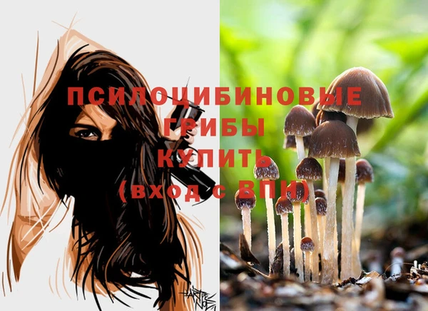 мдпв Лагань