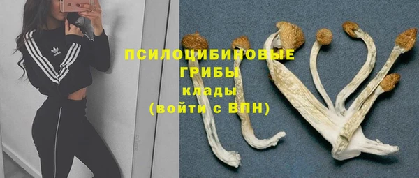 гашик Артём